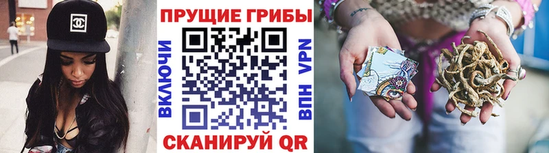 Псилоцибиновые грибы MAGIC MUSHROOMS  Тырныауз 