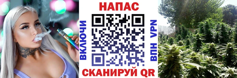 Конопля Amnesia купить цена Тырныауз
